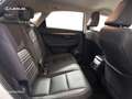 Lexus NX 200t SUV PREMIUM 2WD Weiß - thumbnail 7