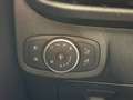 Ford Fiesta 1.1 Trend CAMERA APPLE CARPLAY STOELVERWARMING PDC Rojo - thumbnail 16