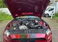 Ford Mustang 3.7 V6 Paars - thumbnail 4
