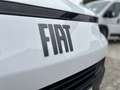 Fiat Scudo KASTENWAGEN L2 1.5 120MT Weiß - thumbnail 13
