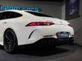 Mercedes-Benz AMG GT 43 4MATIC+  / AMG Design PLUS / PANO / VOLLAUSTAT Weiß - thumbnail 7