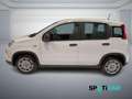 Fiat Panda 1.0 FireFly S&S Hybrid PANDINA ADAS Blanc - thumbnail 8