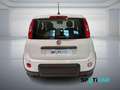 Fiat Panda 1.0 FireFly S&S Hybrid PANDINA ADAS Bianco - thumbnail 6