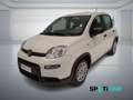 Fiat Panda 1.0 FireFly S&S Hybrid PANDINA ADAS Blanc - thumbnail 1