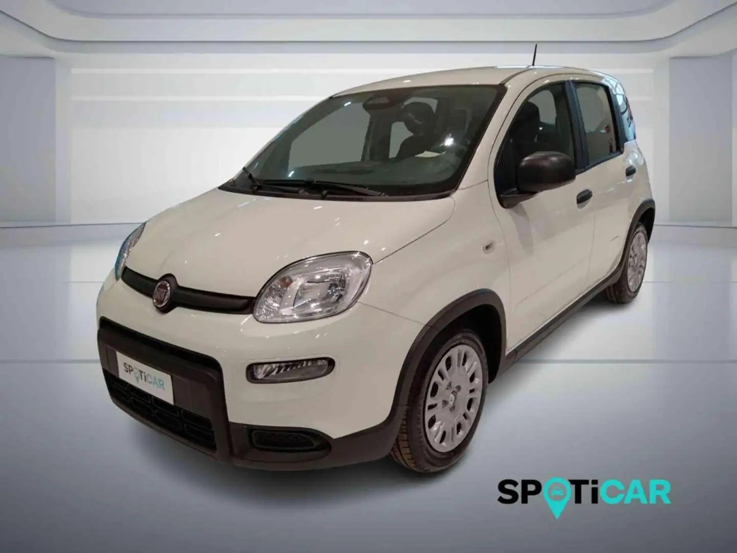 Fiat Panda 1.0 FireFly S&S Hybrid PANDINA ADAS Blanc - 1