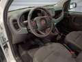 Fiat Panda 1.0 FireFly S&S Hybrid PANDINA ADAS Bianco - thumbnail 12