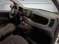 Fiat Panda 1.0 FireFly S&S Hybrid PANDINA ADAS Bianco - thumbnail 14