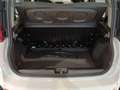 Fiat Panda 1.0 FireFly S&S Hybrid PANDINA ADAS Bianco - thumbnail 13