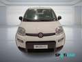 Fiat Panda 1.0 FireFly S&S Hybrid PANDINA ADAS Bianco - thumbnail 2