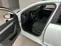 Skoda Octavia 1.4 TSI DSG Wagon Exec. G-Tec UNICO PROPRIETARIO Blanc - thumbnail 18