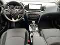 Kia Ceed / cee'd 1.5 T-GDI Vision +1,99%+Automatik+Navi+Kam++ Weiß - thumbnail 9