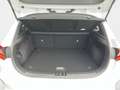 Kia Ceed / cee'd 1.5 T-GDI Vision +1,99%+Automatik+Navi+Kam++ Weiß - thumbnail 12