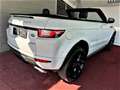 Land Rover Range Rover Evoque Cabriolet Allrad 241 PS Vollausst./Standhe/leasing Weiß - thumbnail 9