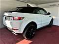 Land Rover Range Rover Evoque Cabriolet Allrad 241 PS Vollausst./Standhe/leasing Weiß - thumbnail 3