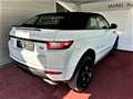 Land Rover Range Rover Evoque Cabriolet Allrad 241 PS Vollausst./Standhe/leasing Weiß - thumbnail 2