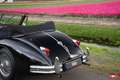 Jaguar XK 3.4 DHC | Superb condition and Matching nr example Nero - thumbnail 6