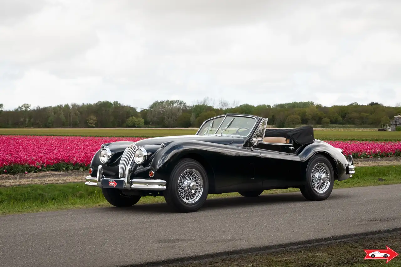 Jaguar XK XK 1955