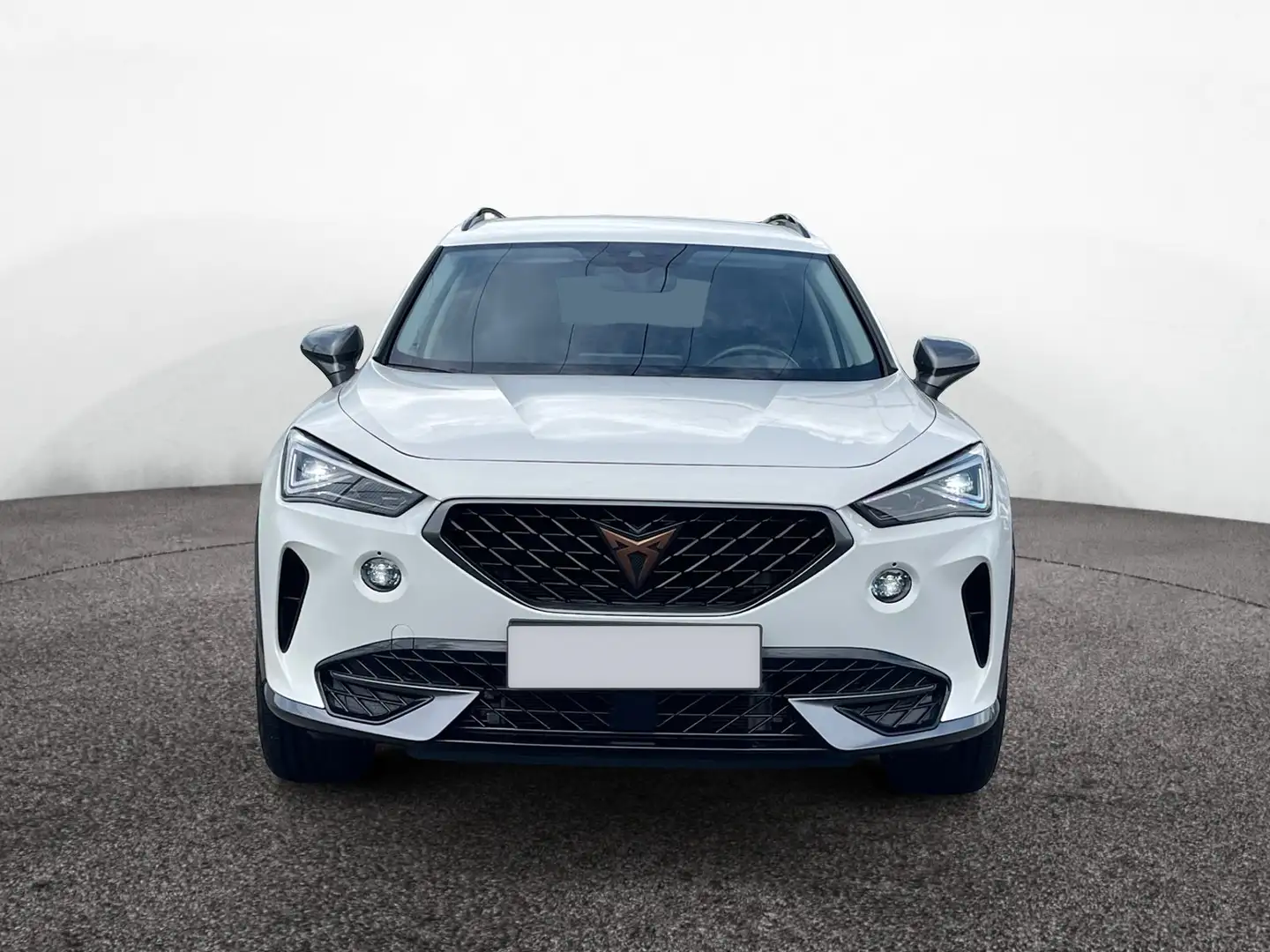 CUPRA Formentor 1.5 TSI DSG|NAV|AHK|SHZ|ACC|KESSY|PDC Weiß - 2