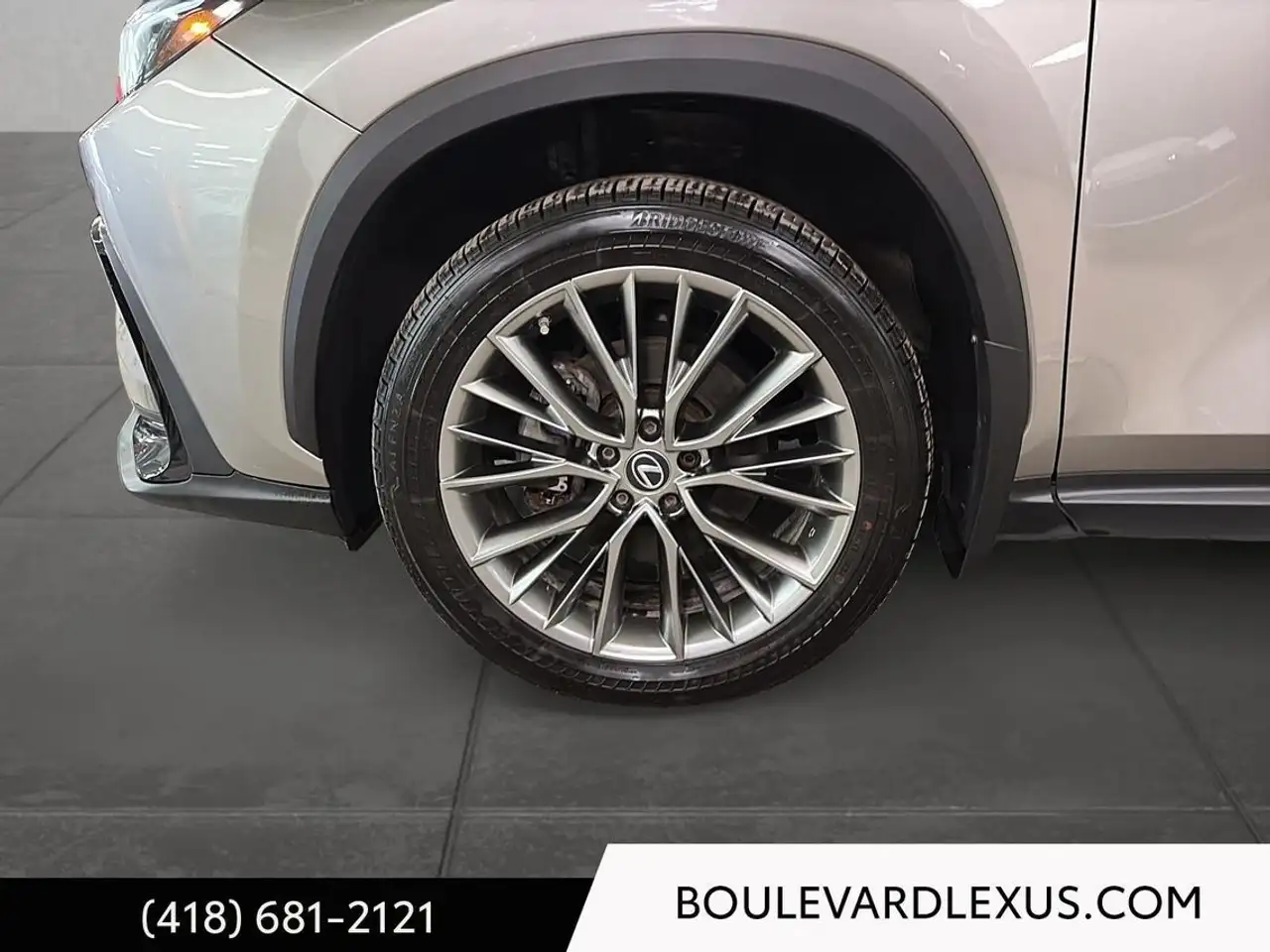 Lexus NX снимка Lexus NX