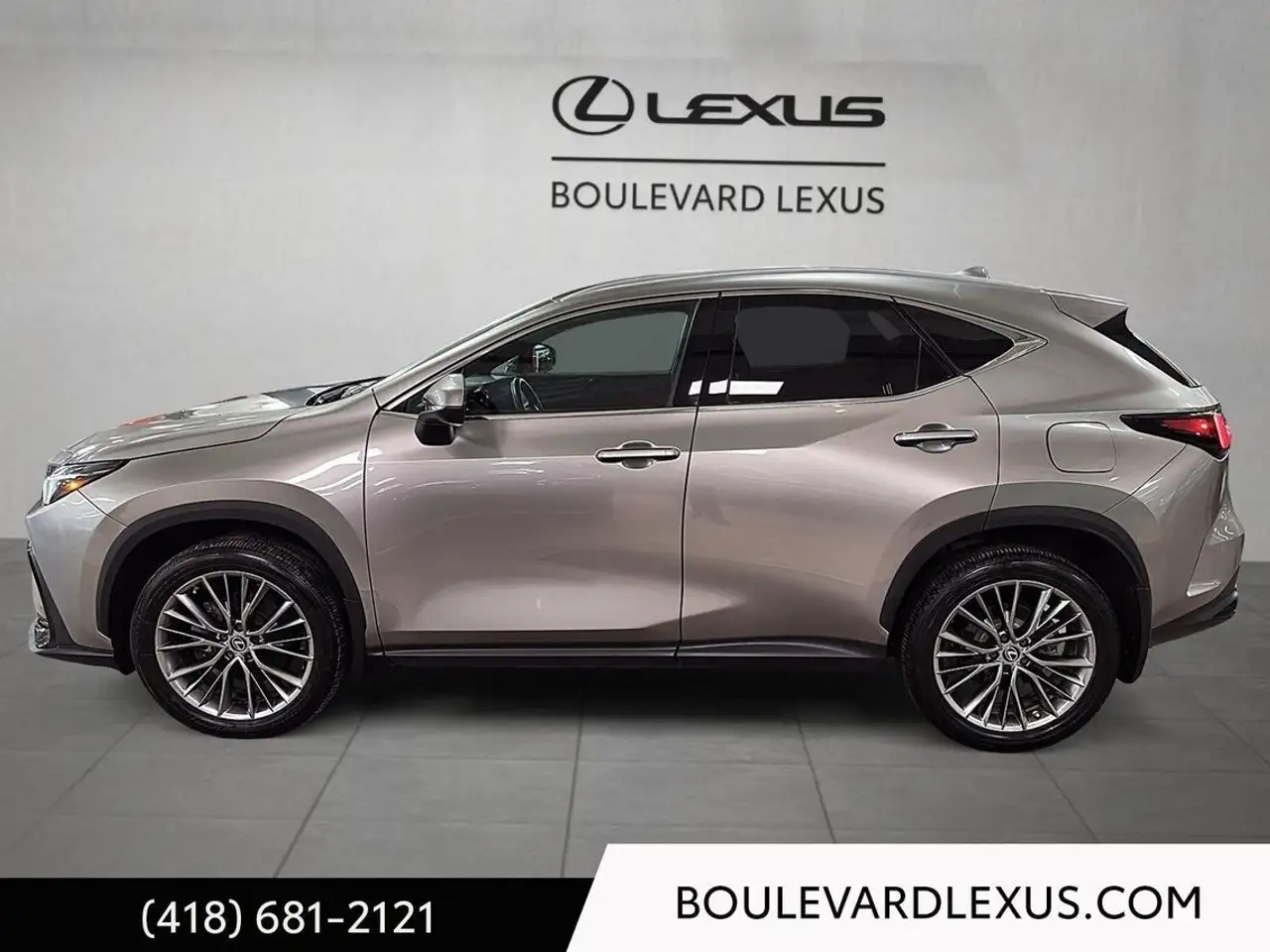 Lexus NX снимка Lexus NX