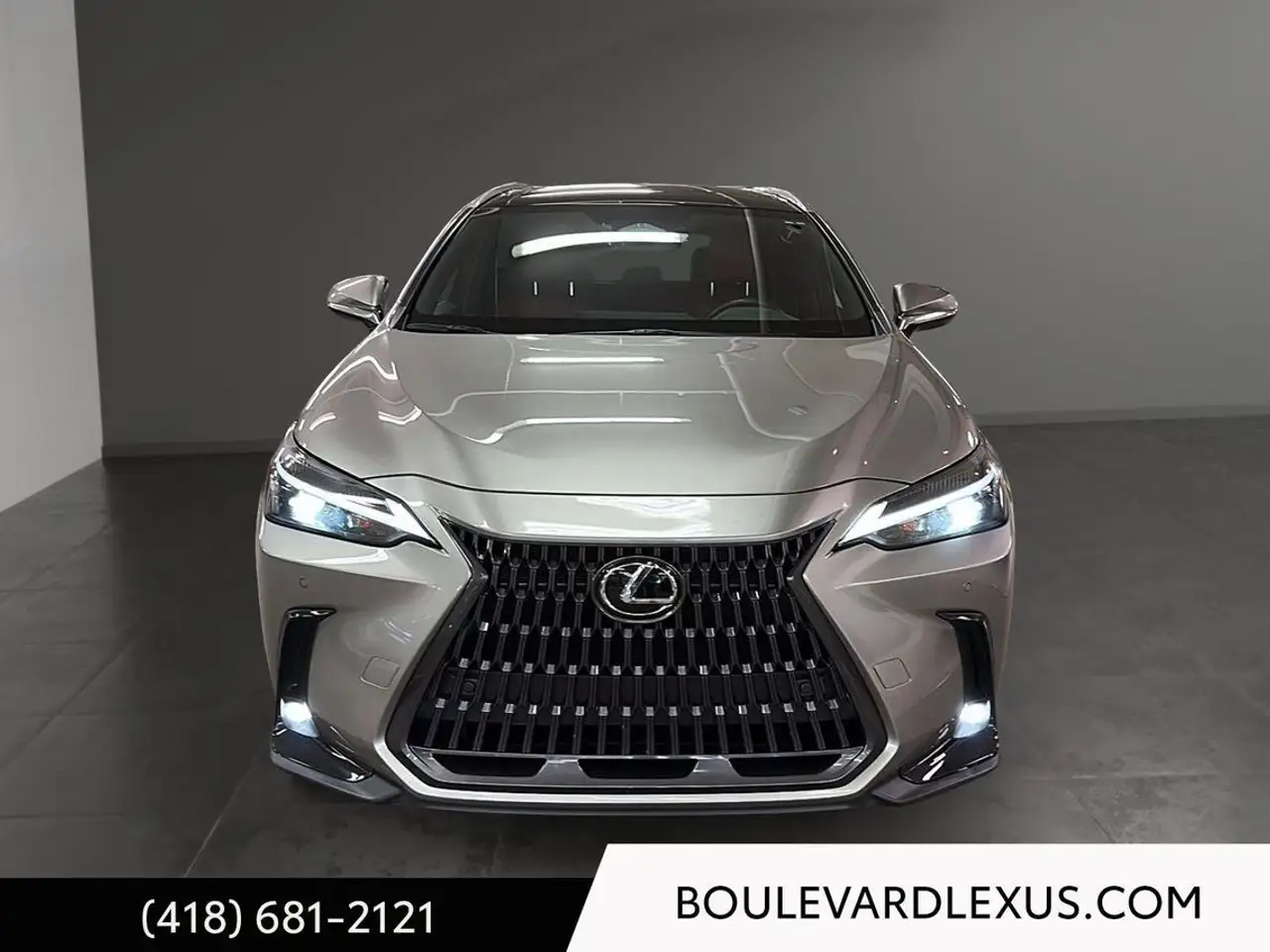 Lexus NX снимка Lexus NX