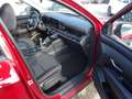 Hyundai TUCSON Tucson NX4 Jubile 1,6 T-GDi 2WD 48V t5bj1 Rot - thumbnail 14
