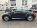 Volkswagen Beetle Cabriolet Design BMT 2.0TDI Navi Xenon Schwarz - thumbnail 5