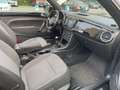 Volkswagen Beetle Cabriolet Design BMT 2.0TDI Navi Xenon Schwarz - thumbnail 14