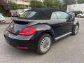 Volkswagen Beetle Cabriolet Design BMT 2.0TDI Navi Xenon Schwarz - thumbnail 9