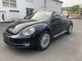 Volkswagen Beetle Cabriolet Design BMT 2.0TDI Navi Xenon Schwarz - thumbnail 1