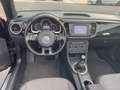 Volkswagen Beetle Cabriolet Design BMT 2.0TDI Navi Xenon Schwarz - thumbnail 12