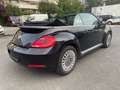 Volkswagen Beetle Cabriolet Design BMT 2.0TDI Navi Xenon Schwarz - thumbnail 8