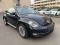 Volkswagen Beetle Cabriolet Design BMT 2.0TDI Navi Xenon Schwarz - thumbnail 3