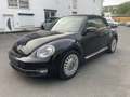 Volkswagen Beetle Cabriolet Design BMT 2.0TDI Navi Xenon Schwarz - thumbnail 2