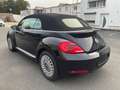 Volkswagen Beetle Cabriolet Design BMT 2.0TDI Navi Xenon Schwarz - thumbnail 11