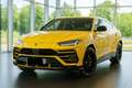 Lamborghini Urus | AKRAPOVIC| 23 ZOLL TAIGETE |PANO B&O Q-CI Gelb - thumbnail 6