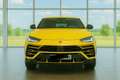 Lamborghini Urus | AKRAPOVIC| 23 ZOLL TAIGETE |PANO B&O Q-CI Gelb - thumbnail 2