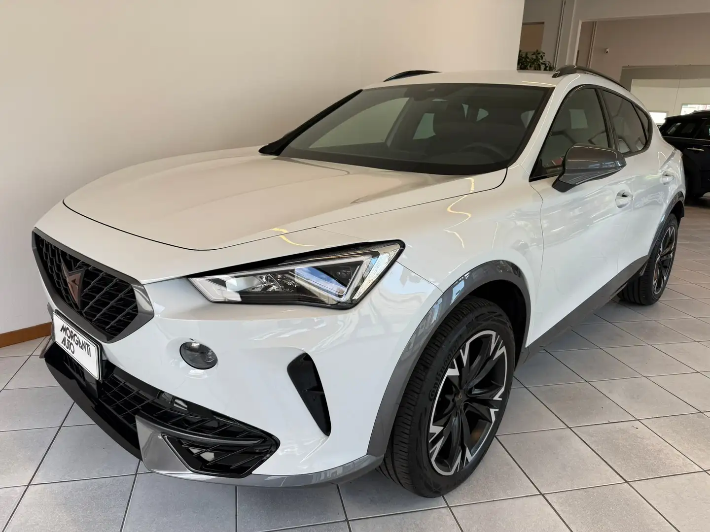 CUPRA Formentor Formentor 2.0 tdi 4drive dsg ESTENSIONE GARANZIA Wit - 1