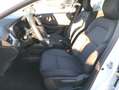 Renault Clio Blue dCi Business 74kW Weiß - thumbnail 17