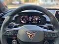 CUPRA Terramar 1.5 e-TSI 150 PS DSG Blau - thumbnail 14