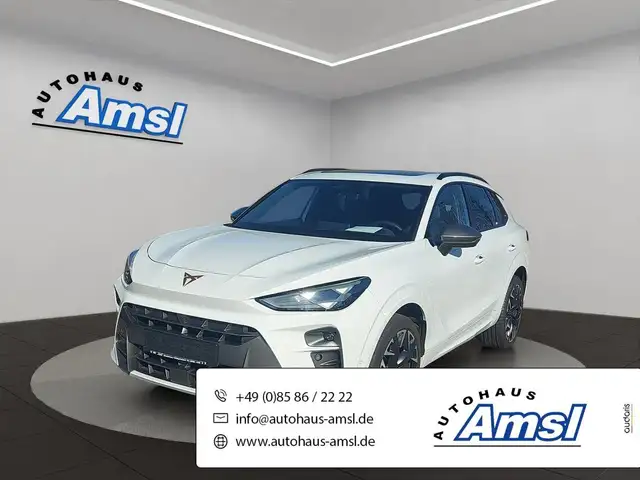 CUPRA Terramar 2.0 TSI VZ 4Drive DSG *PANO*AHK*HUD*RFK