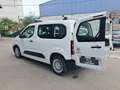 Toyota Proace City Verso Combi 1.5 100CV GX MY20 Blanco - thumbnail 18