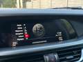Alfa Romeo Stelvio 2.2 JTD Super CUIR/XENON/CAMERA/NAVI/11892€HTVA Blanc - thumbnail 14