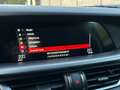 Alfa Romeo Stelvio 2.2 JTD Super CUIR/XENON/CAMERA/NAVI/11892€HTVA Blanc - thumbnail 15