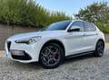 Alfa Romeo Stelvio 2.2 JTD Super CUIR/XENON/CAMERA/NAVI/11892€HTVA Blanc - thumbnail 3