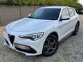 Alfa Romeo Stelvio 2.2 JTD Super CUIR/XENON/CAMERA/NAVI/11892€HTVA Blanc - thumbnail 5