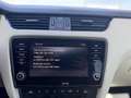Skoda Octavia Combi 2,0 TDI - Pickerl NEU - DSG - LEDER - PAN... Grau - thumbnail 37