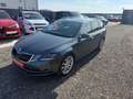 Skoda Octavia Combi 2,0 TDI - Pickerl NEU - DSG - LEDER - PAN... Grau - thumbnail 6