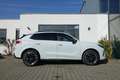 CUPRA Terramar VZ 360°/Sennheis/AHK/Pano/Matrix/HeadUp Weiß - thumbnail 2