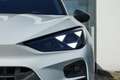 CUPRA Terramar VZ 360°/Sennheis/AHK/Pano/Matrix/HeadUp Weiß - thumbnail 8